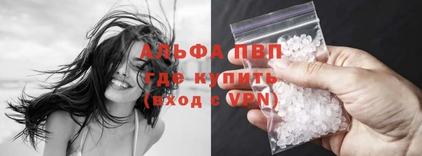 сатива Абаза
