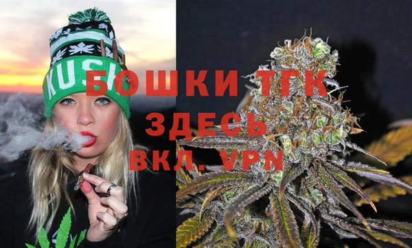 крисы Абдулино